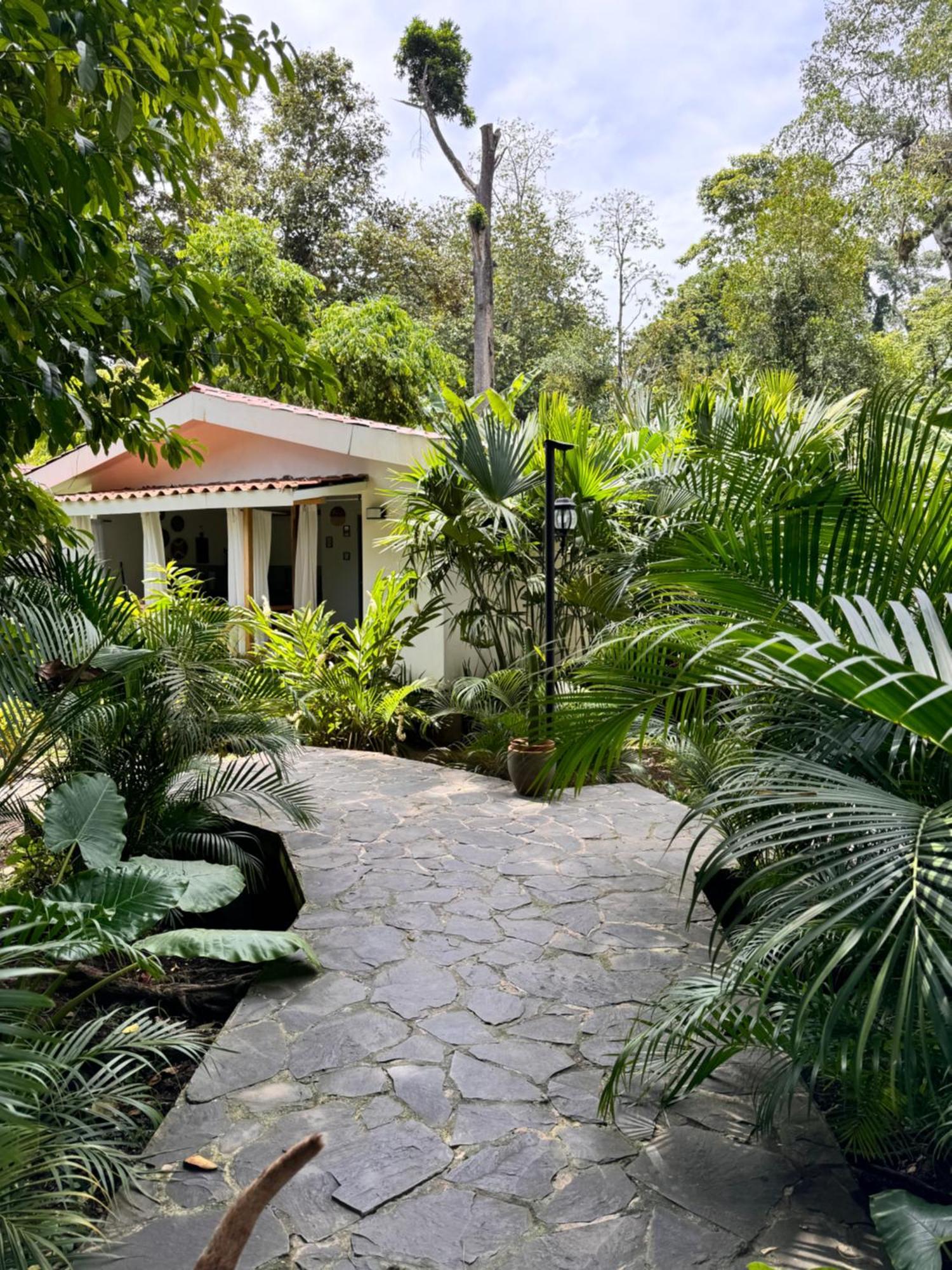 Chilamate Holiday House Puerto Viejo de Talamanca Exterior foto